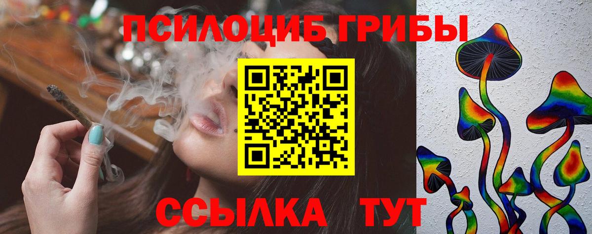 Псилоцибиновые грибы Magic Shrooms  Вход с VPN  Дмитров  Псилоцибиновые грибы прущие грибы 